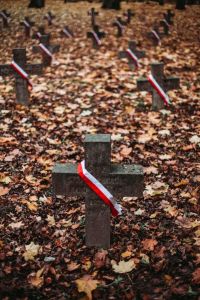 Krzyże na cmentarzu w Modlinie Twierdzy.
