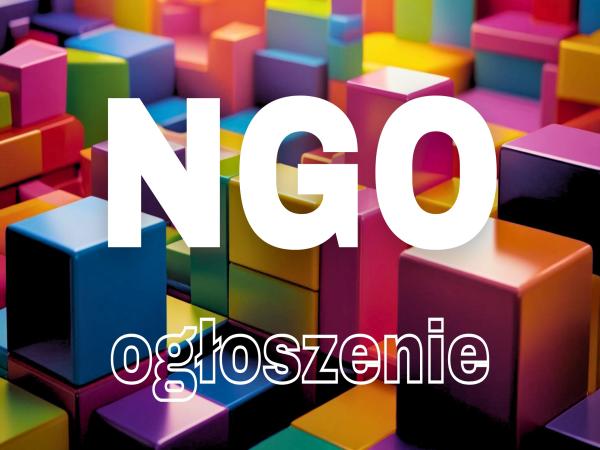 Kolorowe klocki w tle, na pierwszym planie biały napis NGO