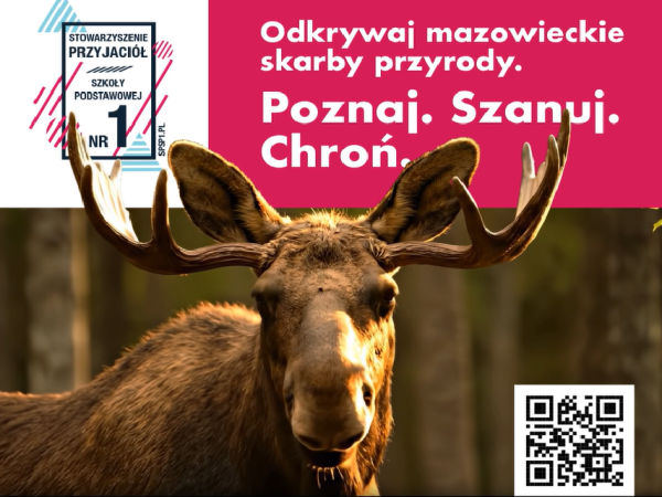 Edukacja przyrodniczo-leśna w SP nr 1